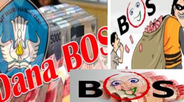 Diduga Selewengkan Dana BOS, Aktivis Minta APH Segera Memeriksa LPJ Dana BOS SDN 308 Tomale