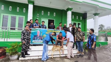 Korindo S Milala dan Maha Sendi S Milala Pimpin Langsung Penyaluran 42 Hewan Kurban di Kabupaten Karo dengan Lancar dan Kondusif