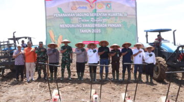 Kapolres Simalungun: Dari Tanah Tidur Menjadi Tanah Harapan untuk Swasembada Jagung
