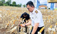 berita-pilihan-foto
